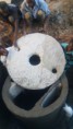 /album/photo-gallery-bio-digester1/img-20170522-172957-jpg2/